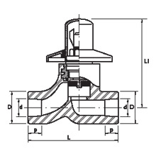 Esquema Registroº